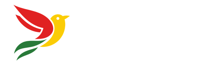 Ghana bizhub the home of local business growth